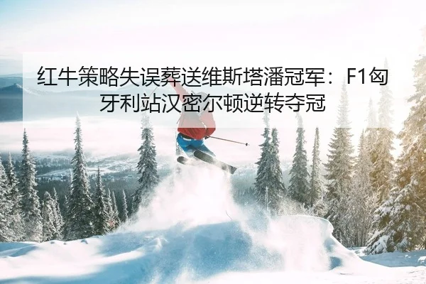 hong-niu-ce-lve-shi-wu-zang-song-wei-si-ta-pan-guan-jun-xiong-ya-li-zhan-han-mi-er-dun-ni-zhuan-duo-guan-2-873.jpg